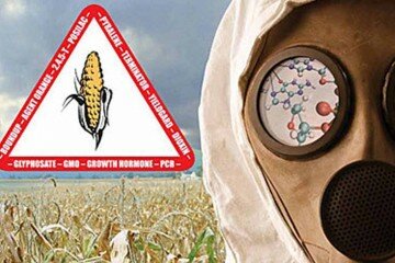 o mundo de acordo com a Monsanto